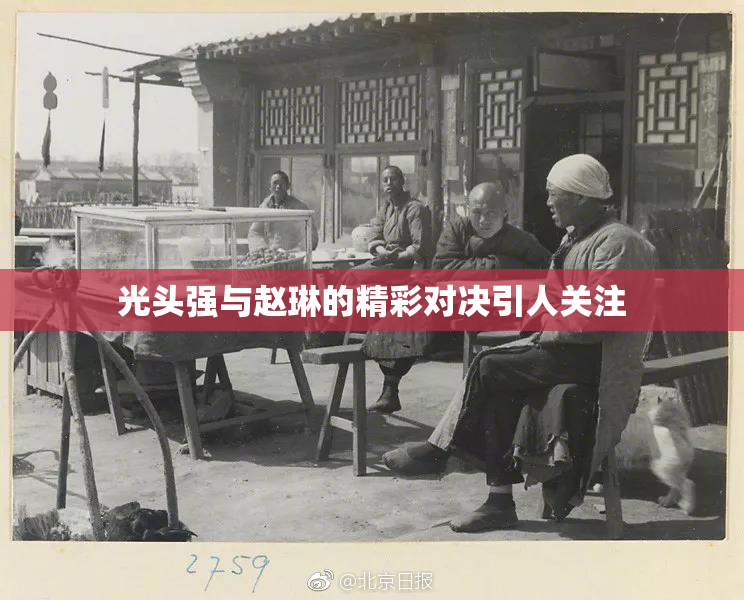 光头强与赵琳的精彩对决引人关注
