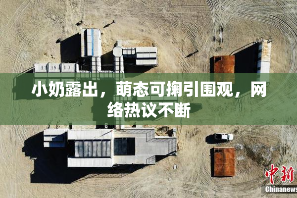 小奶露出，萌态可掬引围观，网络热议不断