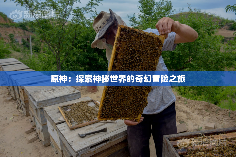 原神：探索神秘世界的奇幻冒险之旅