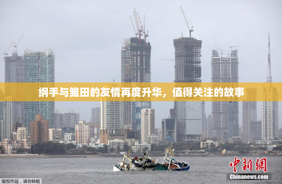纲手与雏田的友情再度升华，值得关注的故事