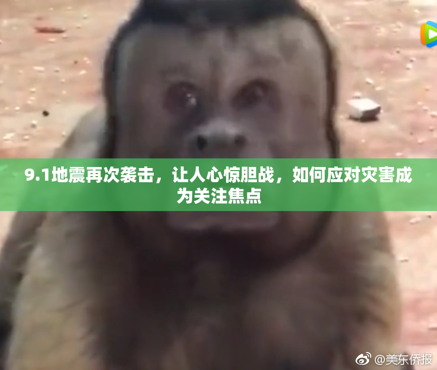 9.1地震再次袭击，让人心惊胆战，如何应对灾害成为关注焦点