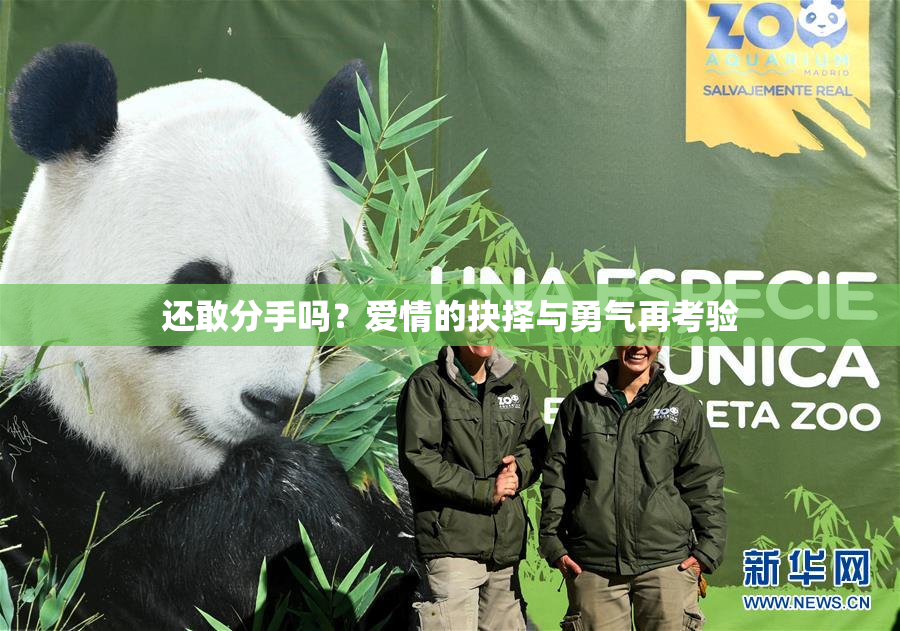 还敢分手吗？爱情的抉择与勇气再考验