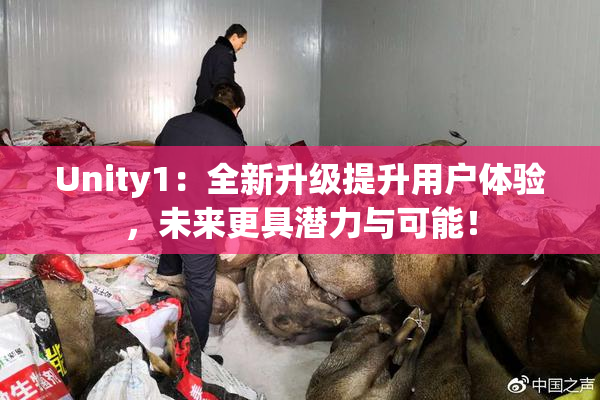 Unity1：全新升级提升用户体验，未来更具潜力与可能！