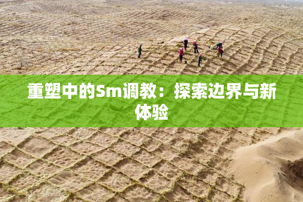 重塑中的Sm调教：探索边界与新体验