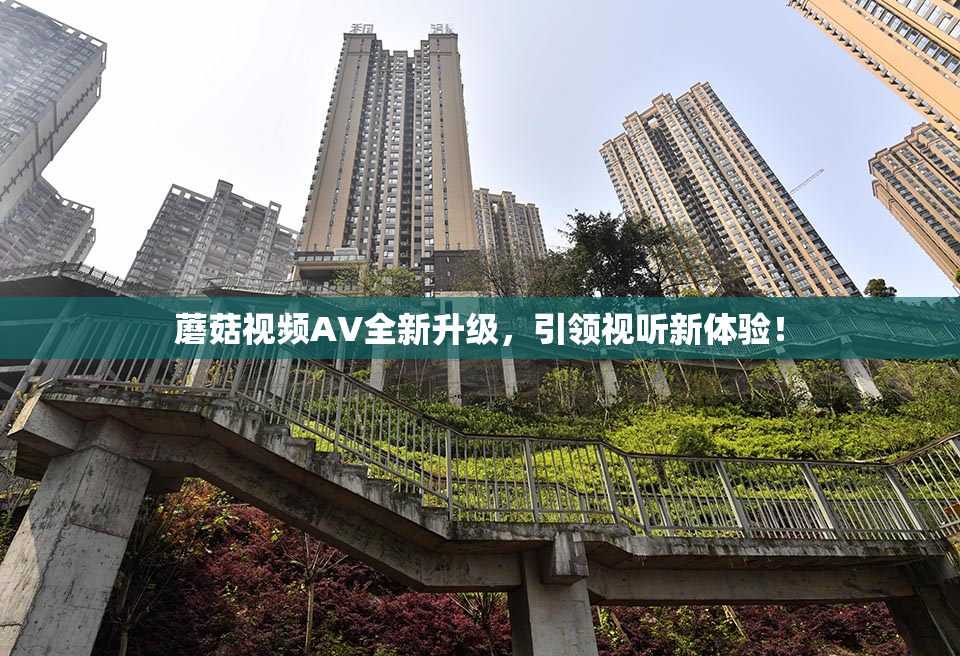 蘑菇视频AV全新升级，引领视听新体验！