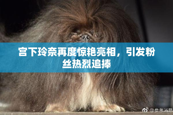 宫下玲奈再度惊艳亮相，引发粉丝热烈追捧