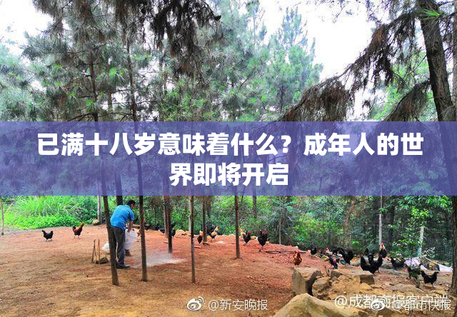 已满十八岁意味着什么？成年人的世界即将开启