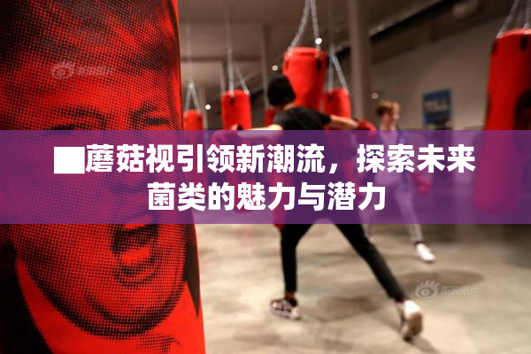▇蘑菇视引领新潮流，探索未来菌类的魅力与潜力