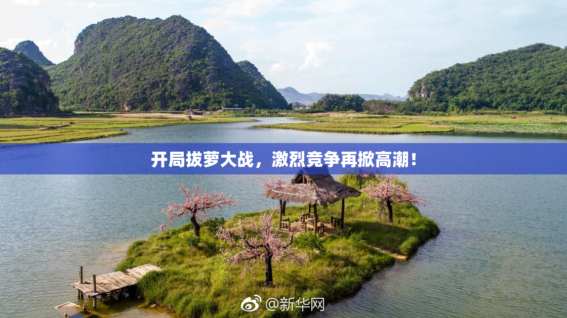 开局拔萝大战，激烈竞争再掀高潮！