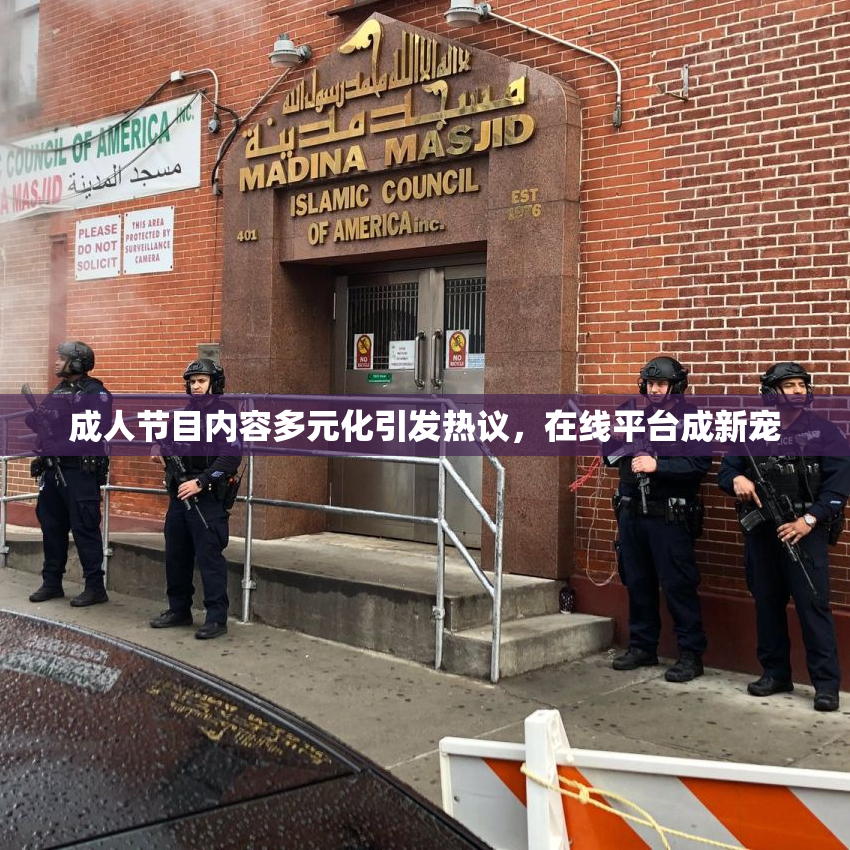 成人节目内容多元化引发热议，在线平台成新宠