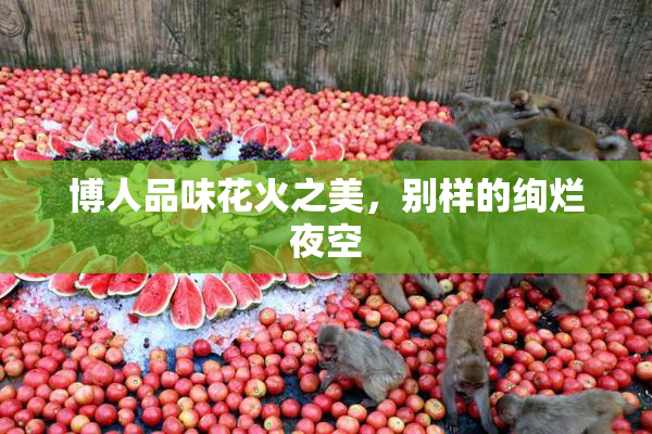 博人品味花火之美，别样的绚烂夜空