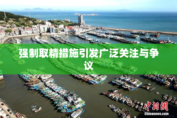 强制取精措施引发广泛关注与争议