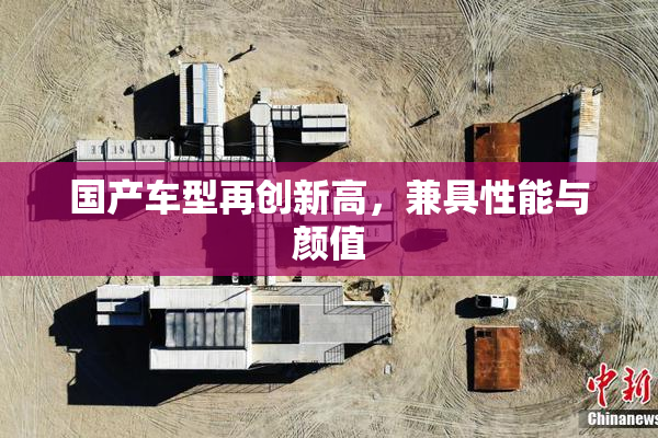 国产车型再创新高，兼具性能与颜值