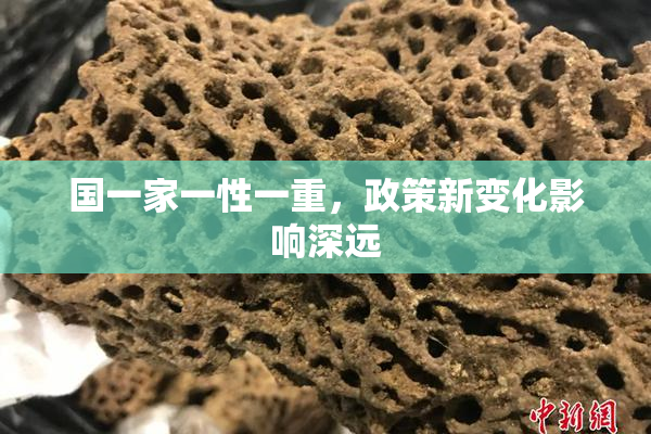国一家一性一重，政策新变化影响深远