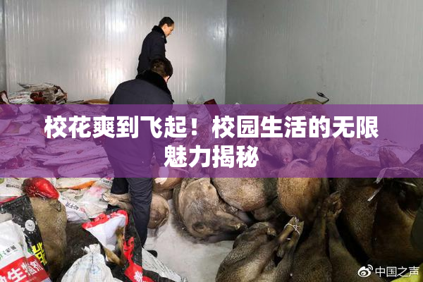 校花爽到飞起！校园生活的无限魅力揭秘