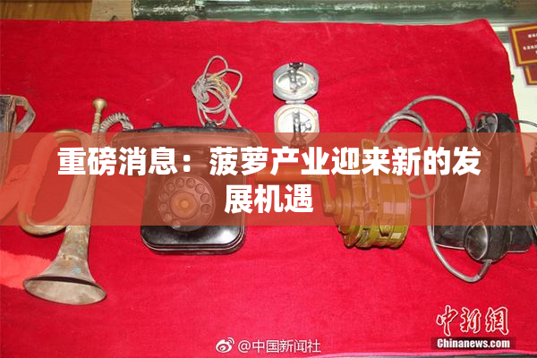 重磅消息：菠萝产业迎来新的发展机遇