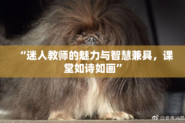 “迷人教师的魅力与智慧兼具，课堂如诗如画”