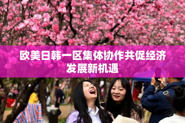 欧美日韩一区集体协作共促经济发展新机遇