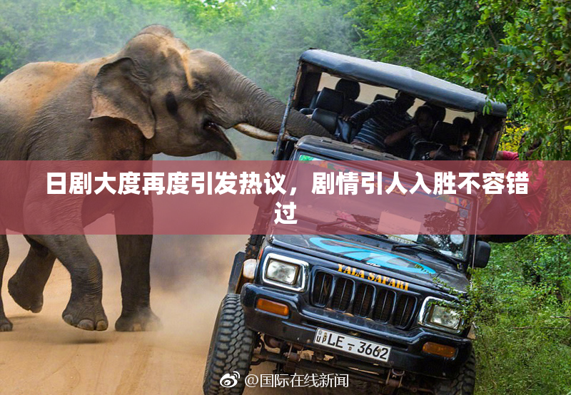日剧大度再度引发热议，剧情引人入胜不容错过