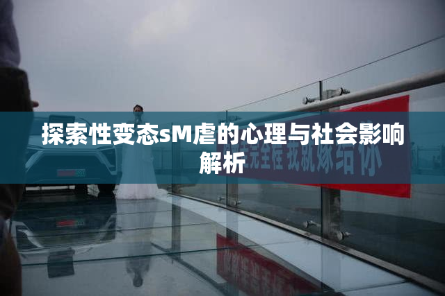 探索性变态sM虐的心理与社会影响解析