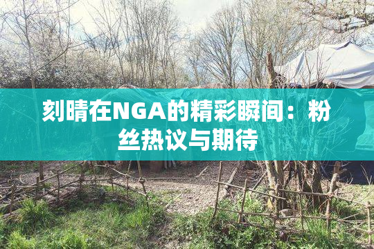 刻晴在NGA的精彩瞬间：粉丝热议与期待