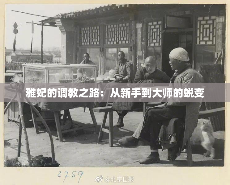 雅妃的调教之路：从新手到大师的蜕变