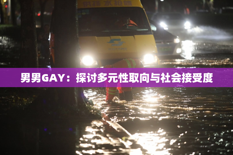 男男GAY：探讨多元性取向与社会接受度