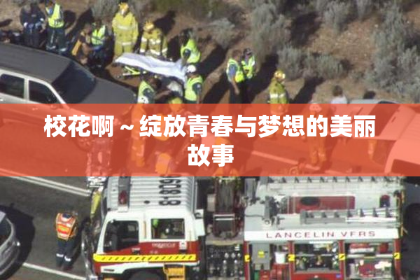 校花啊～绽放青春与梦想的美丽故事