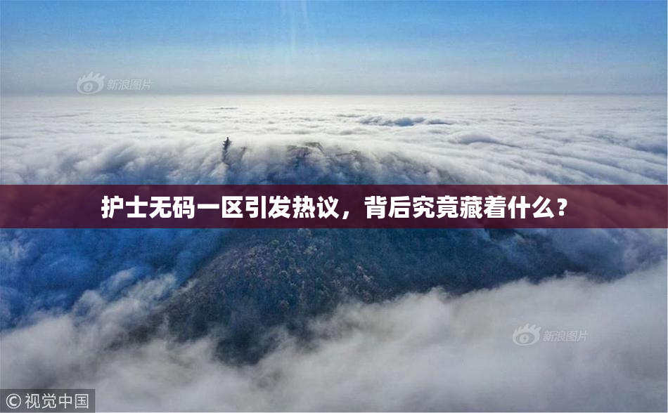 护士无码一区引发热议，背后究竟藏着什么？