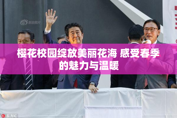 樱花校园绽放美丽花海 感受春季的魅力与温暖
