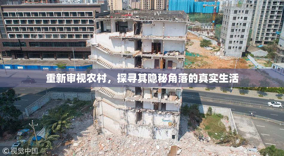 重新审视农村，探寻其隐秘角落的真实生活