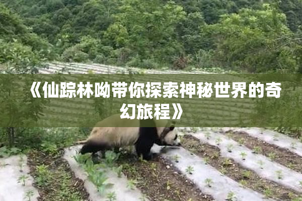 《仙踪林呦带你探索神秘世界的奇幻旅程》