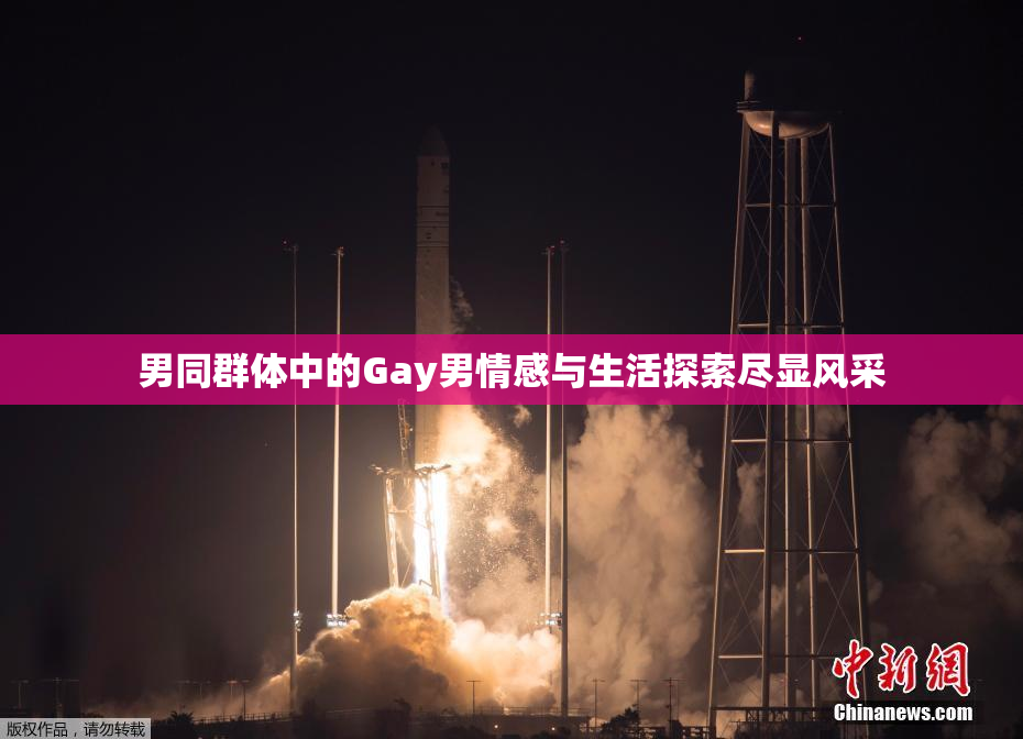 男同群体中的Gay男情感与生活探索尽显风采