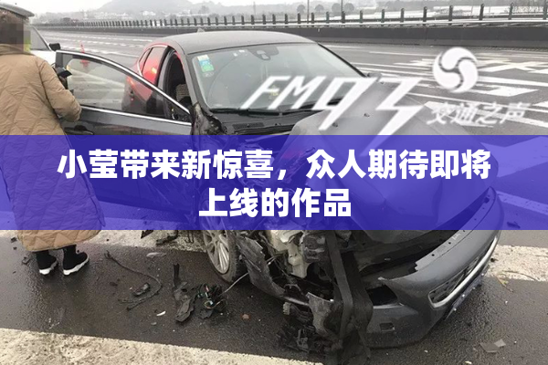 小莹带来新惊喜，众人期待即将上线的作品