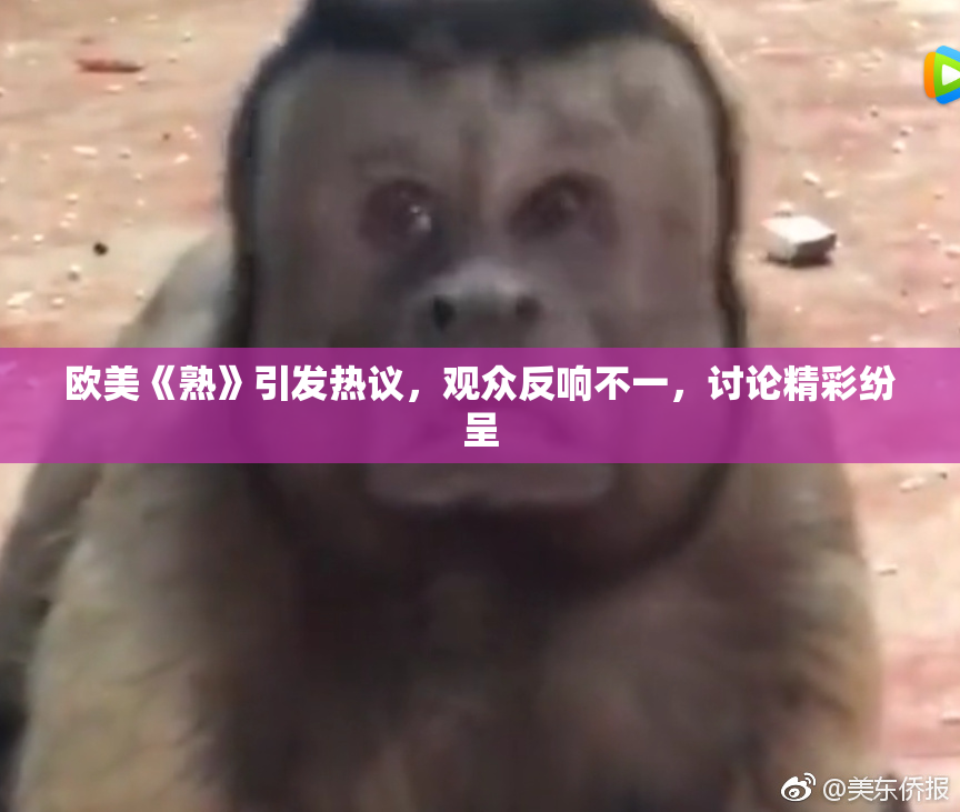 欧美《熟》引发热议，观众反响不一，讨论精彩纷呈
