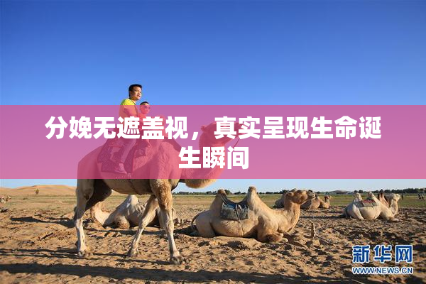 分娩无遮盖视，真实呈现生命诞生瞬间