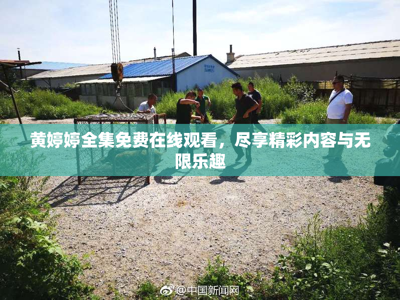 黄婷婷全集免费在线观看，尽享精彩内容与无限乐趣