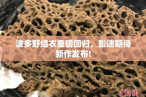 波多野结衣重磅回归，影迷期待新作发布!