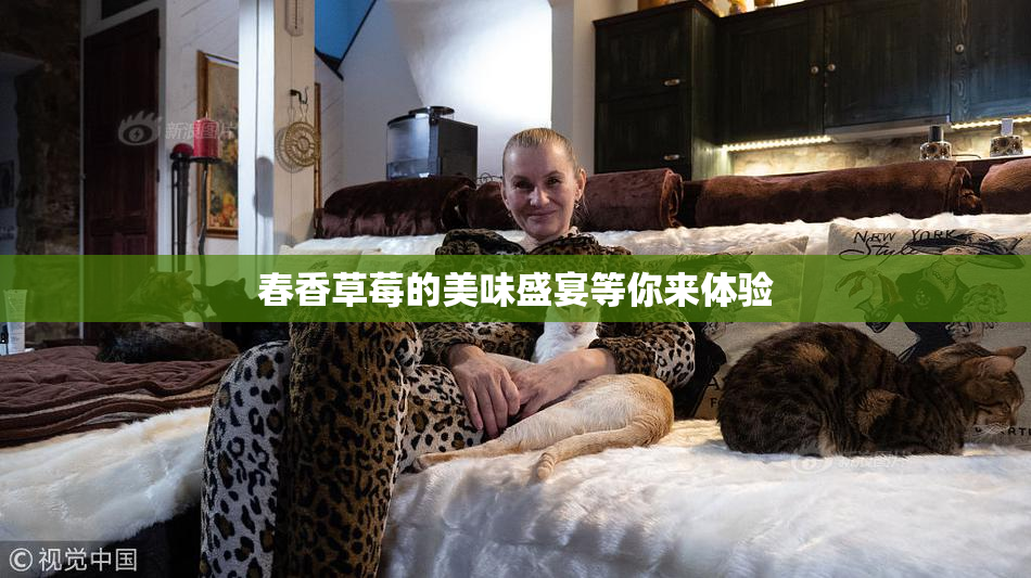 春香草莓的美味盛宴等你来体验