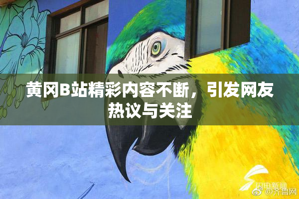 黄冈B站精彩内容不断，引发网友热议与关注