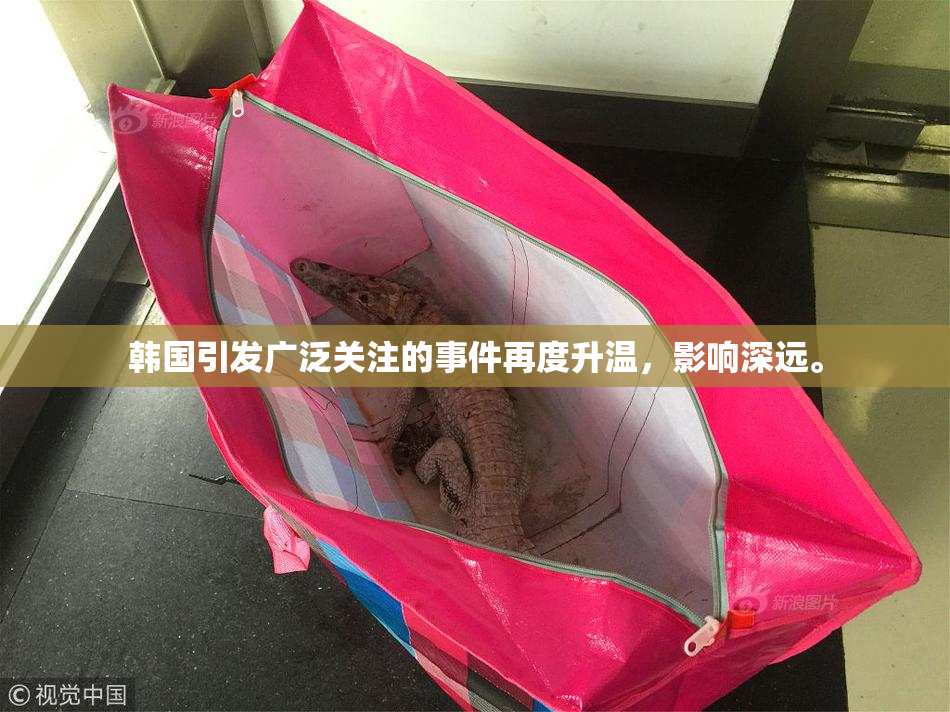 韩国引发广泛关注的事件再度升温，影响深远。
