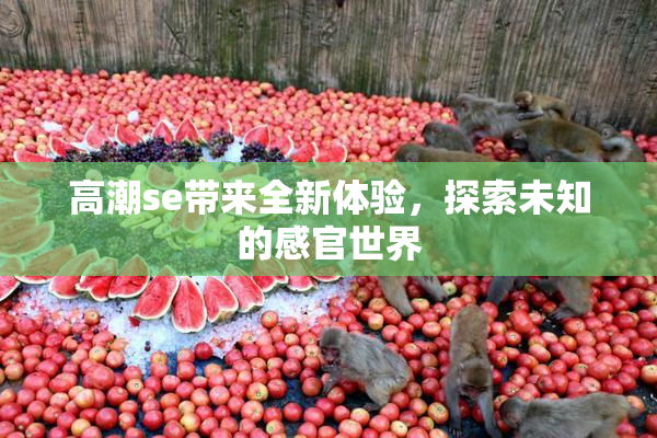 高潮se带来全新体验，探索未知的感官世界
