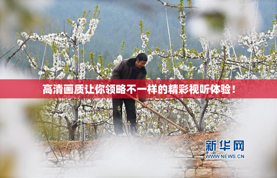 高清画质让你领略不一样的精彩视听体验！