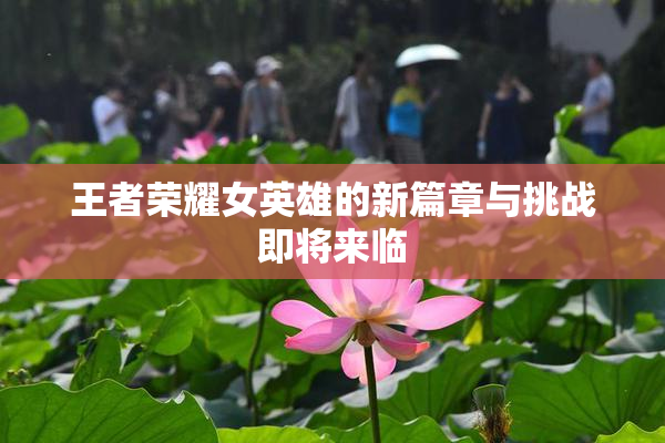 王者荣耀女英雄的新篇章与挑战即将来临
