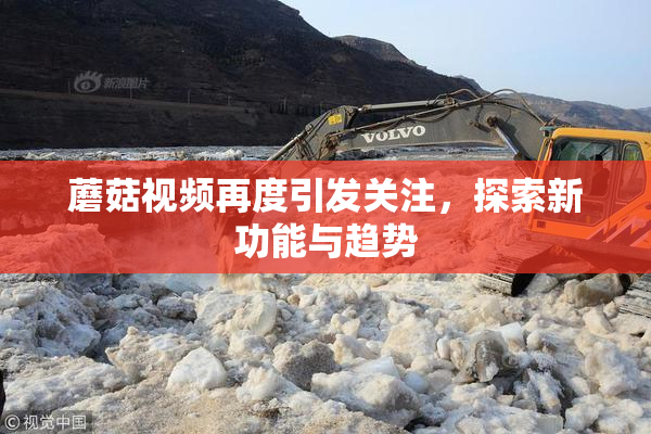 蘑菇视频再度引发关注，探索新功能与趋势