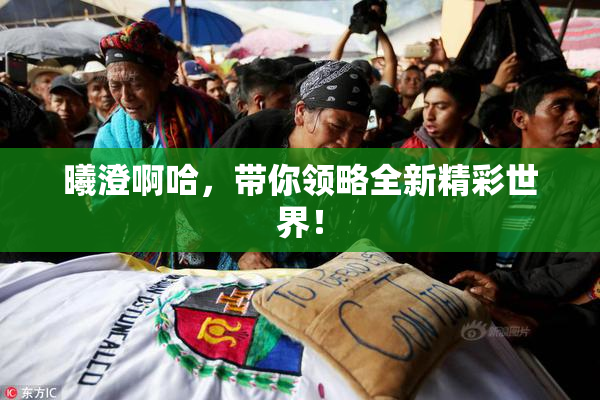 曦澄啊哈，带你领略全新精彩世界！