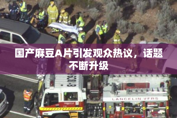 国产麻豆A片引发观众热议，话题不断升级