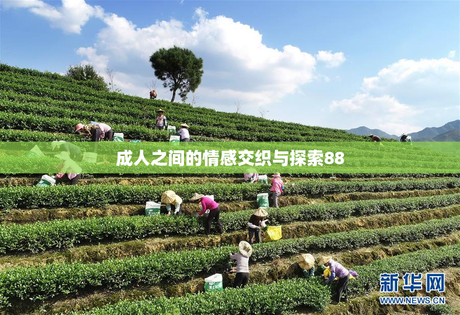 成人之间的情感交织与探索88