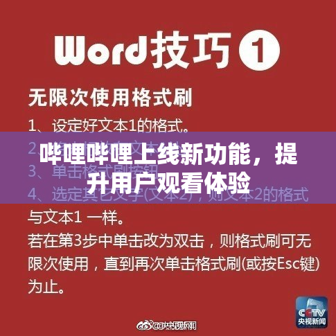 哔哩哔哩上线新功能，提升用户观看体验