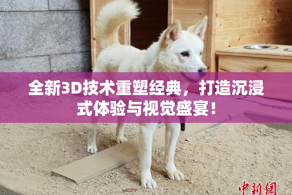 全新3D技术重塑经典，打造沉浸式体验与视觉盛宴！